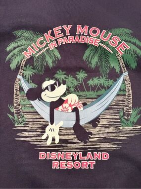 DISNEY PARKS COLLECTION BY TOMMY BAHAMA 1/4 ZIP SWEATSHIRT SIZE M